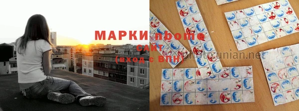 гидропоника Няндома