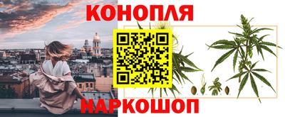 прущие грибы Аргун