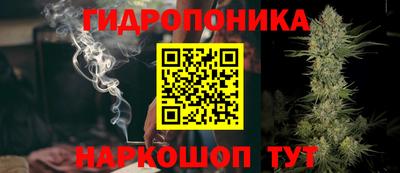 прущие грибы Аргун