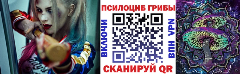 Псилоцибиновые грибы мицелий  Рославль 