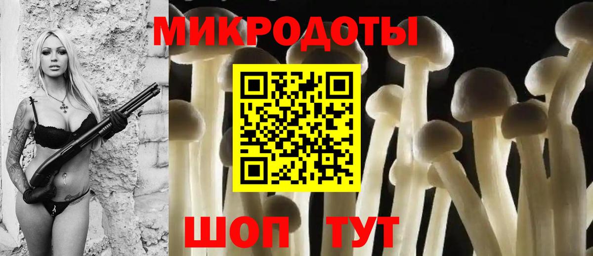 Галлюциногенные грибы Psilocybe Рославль