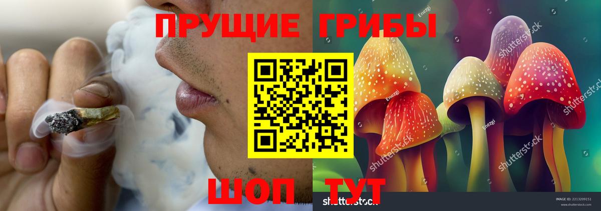 Галлюциногенные грибы Psilocybe  Галлюциногенные грибы GOLDEN TEACHER  Рославль 